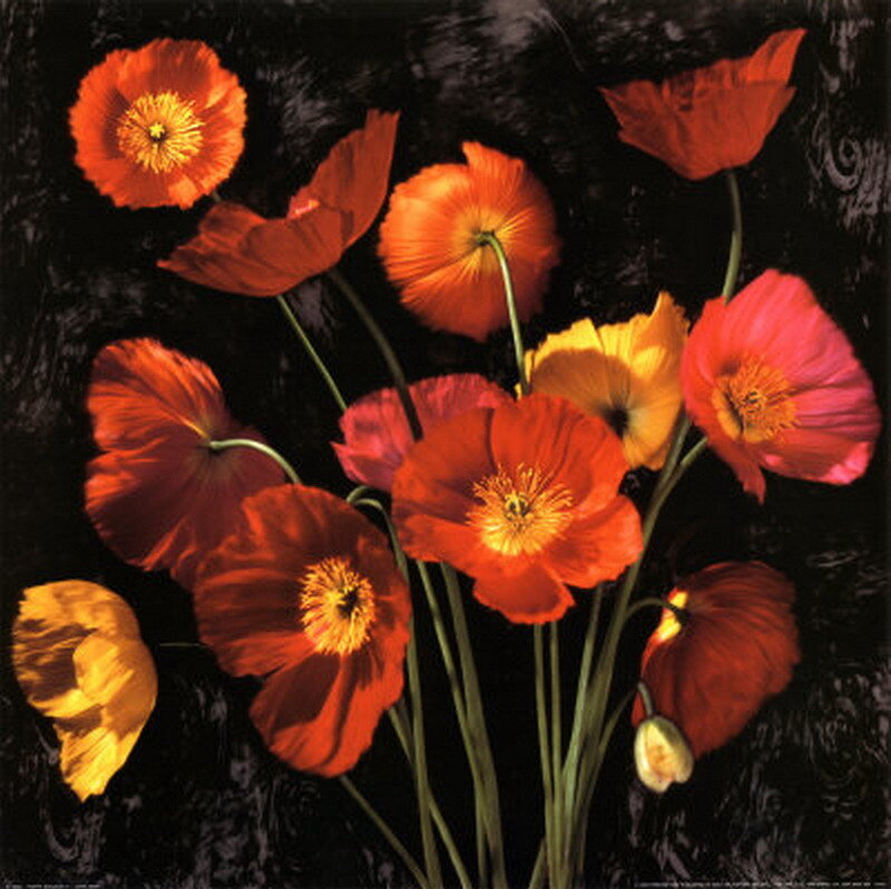 Vibrant poppy bouquet