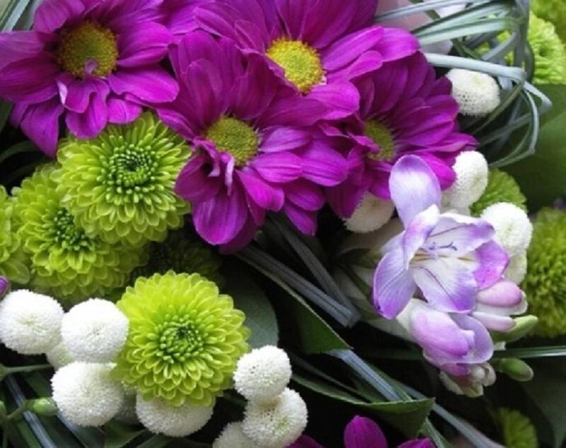 vibrant purple and green flowers