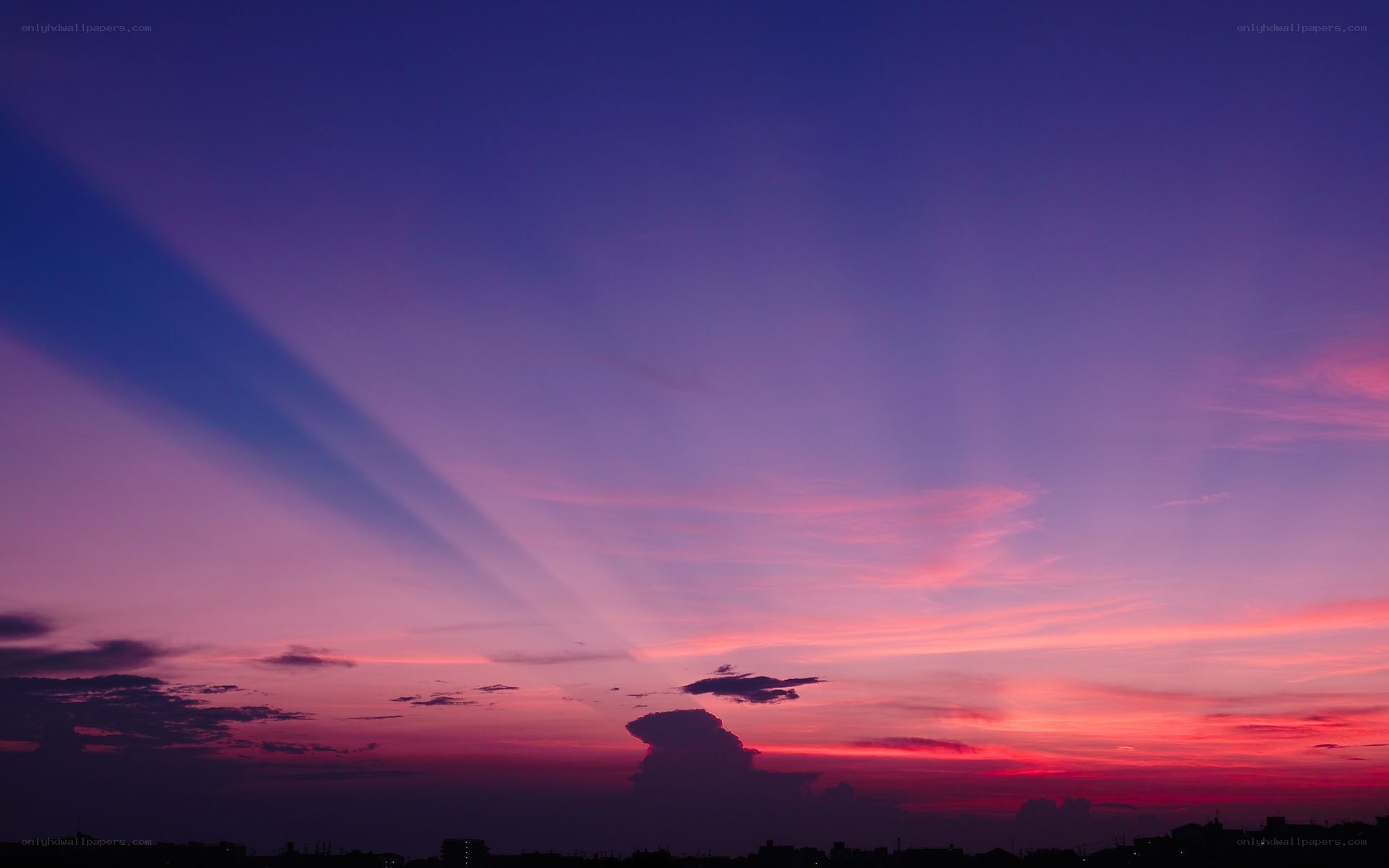 vibrant purple and pink sunset