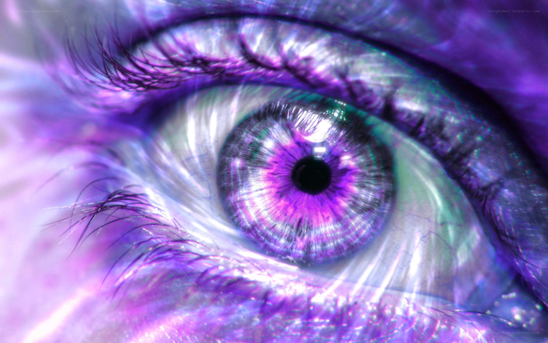 vibrant purple eye close-up