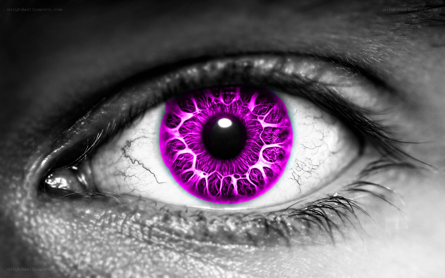 vibrant purple eye close-up