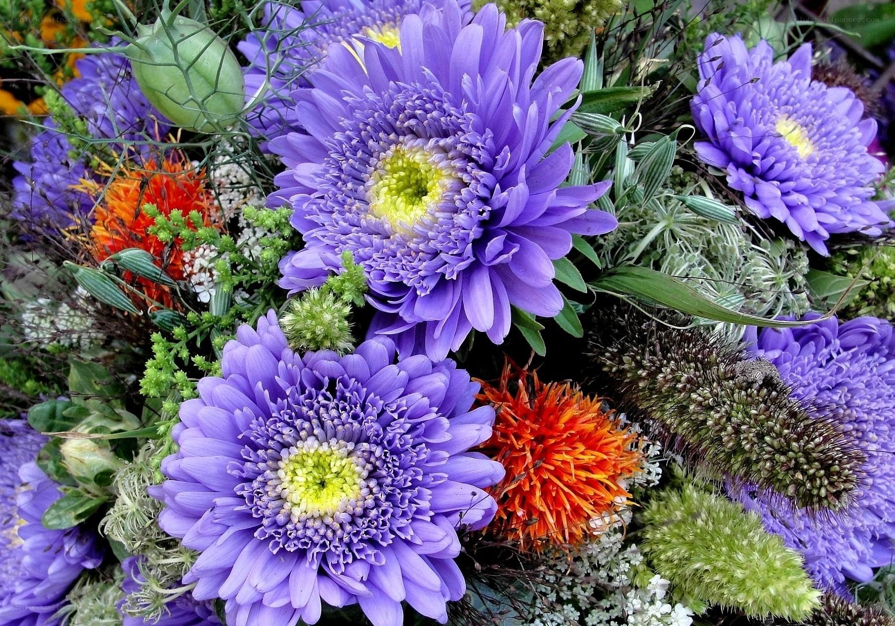 vibrant purple flower bouquet