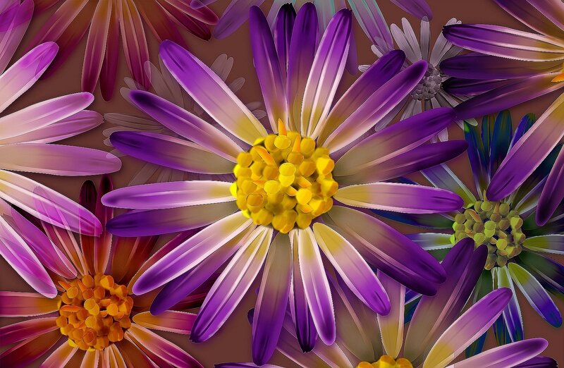 vibrant purple flowers close-up