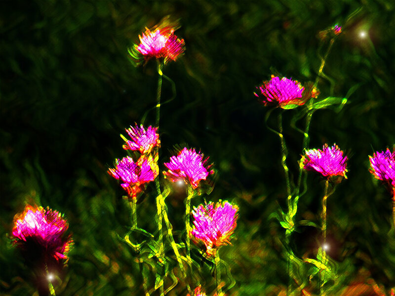 Vibrant purple flowers in motion