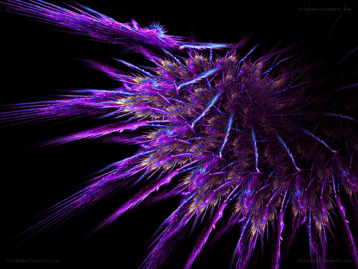vibrant purple fractal explosion