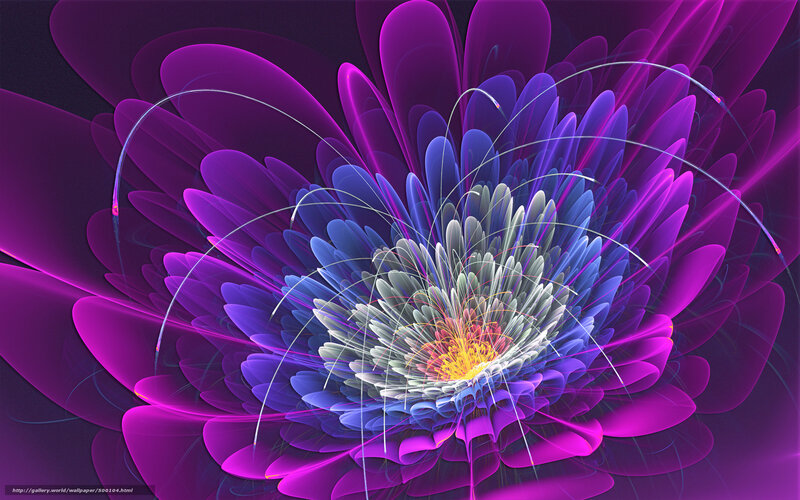 Vibrant purple fractal flower
