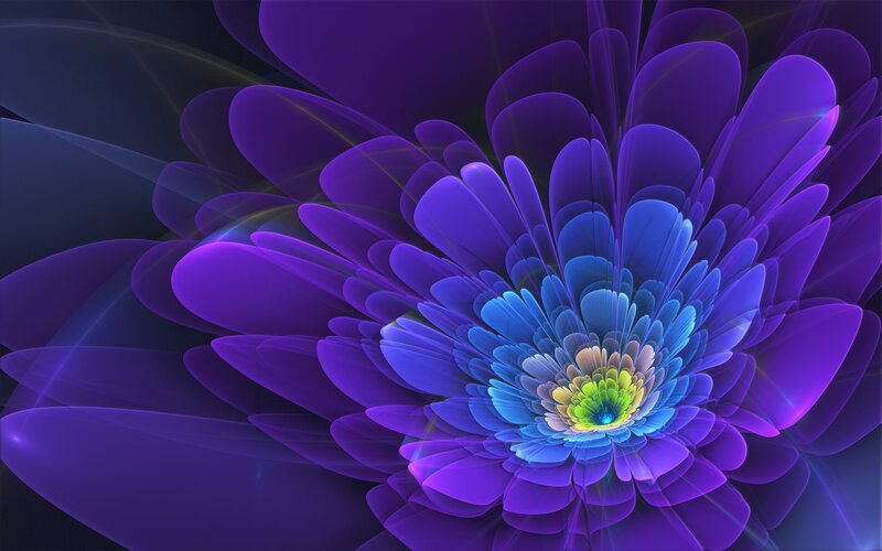 vibrant purple fractal flower
