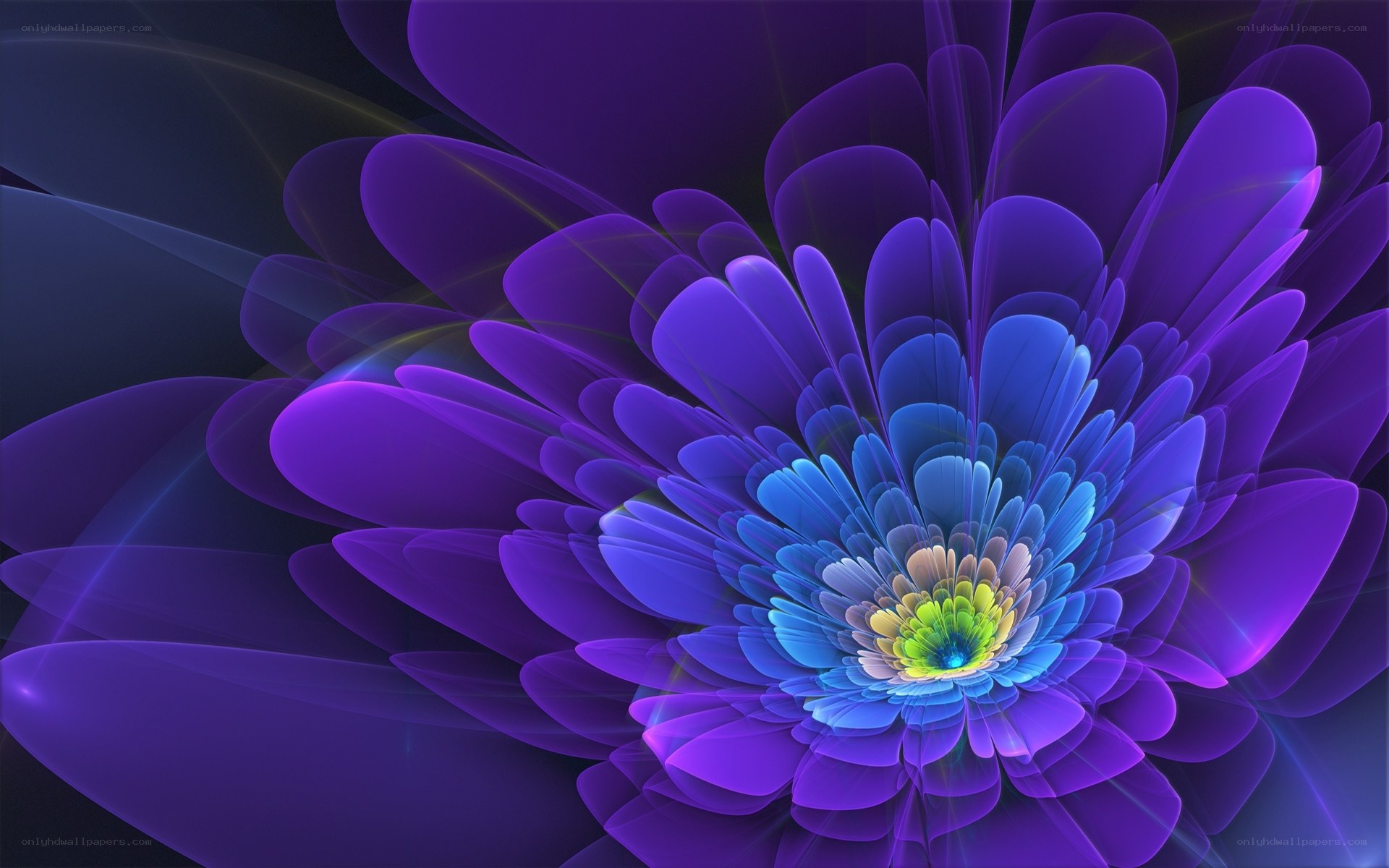 vibrant purple fractal flower