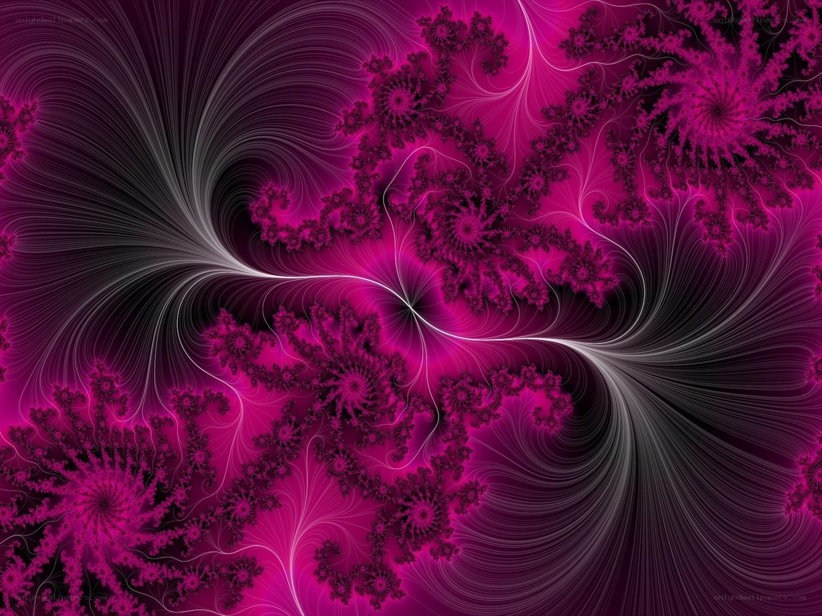 vibrant purple fractal pattern