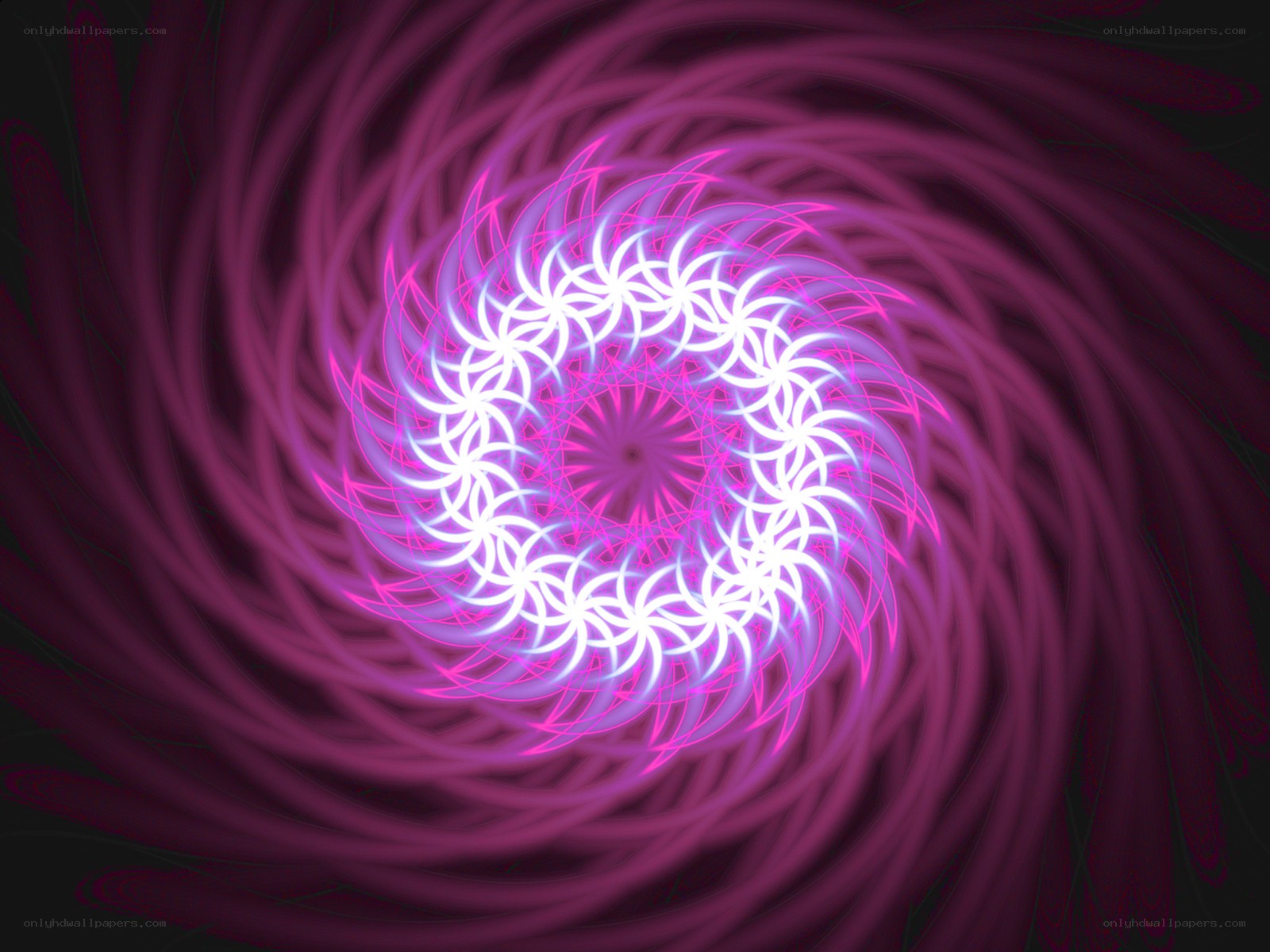 vibrant purple fractal spiral