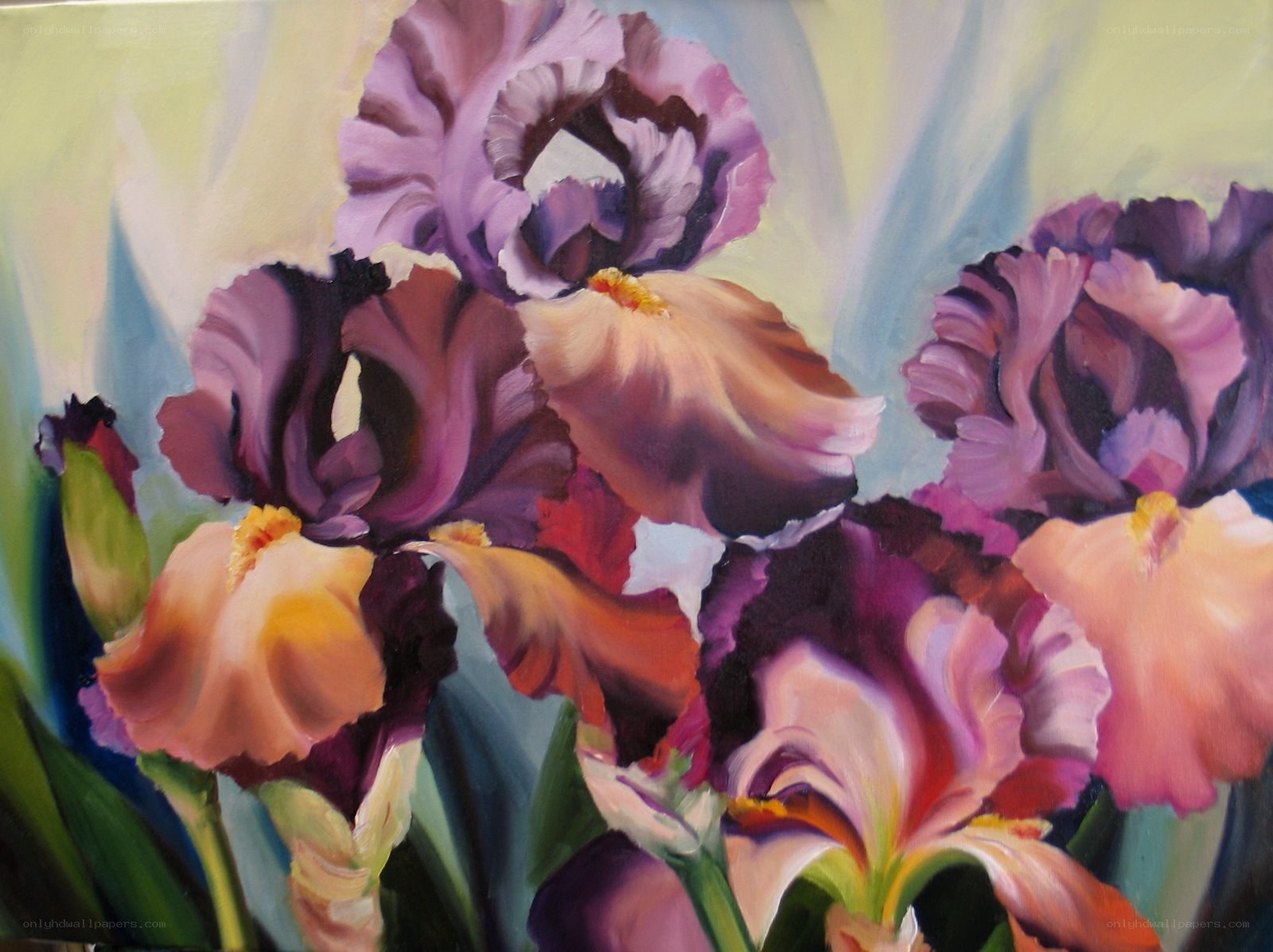 Vibrant purple irises in bloom