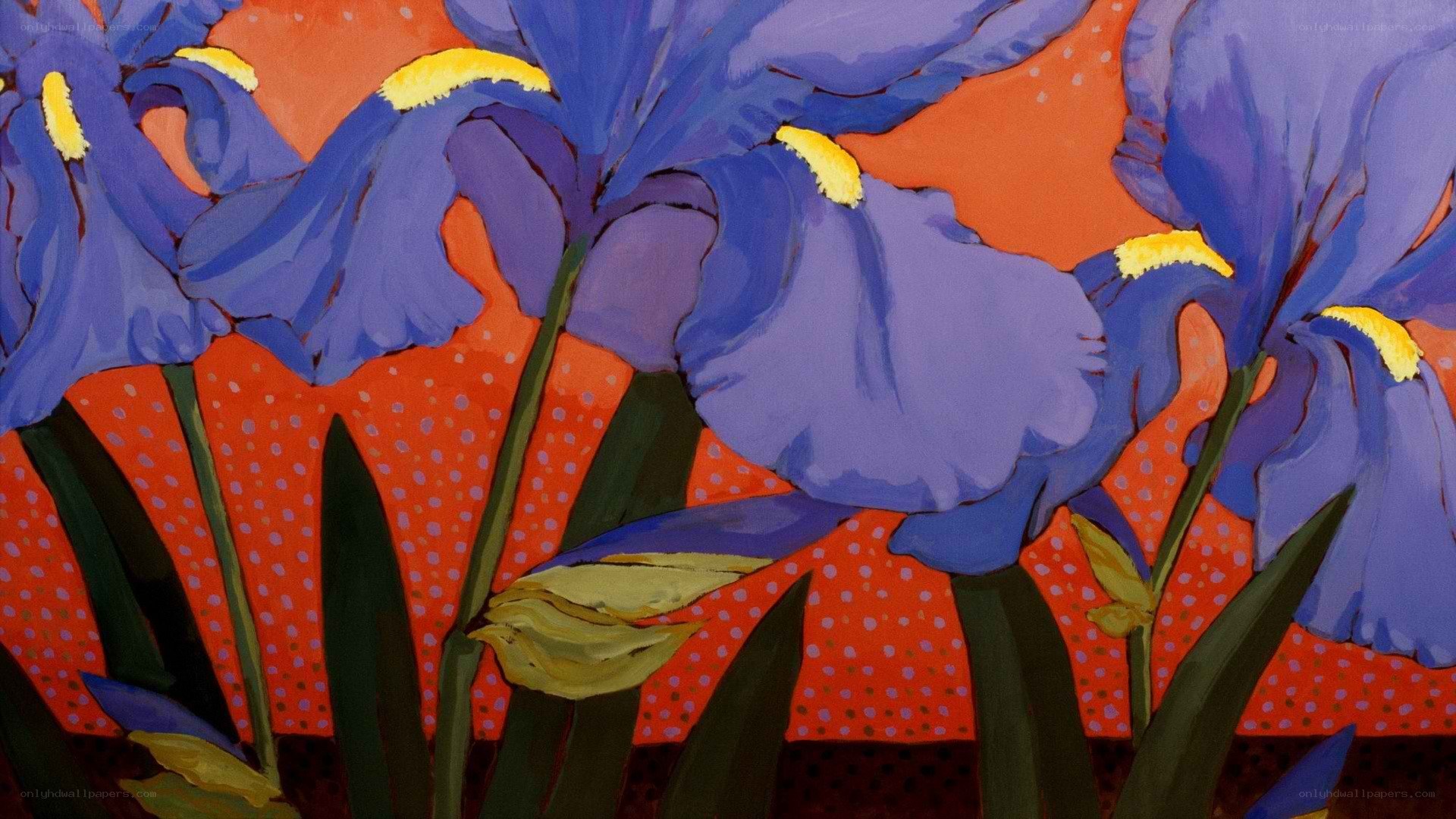 Vibrant purple irises on red