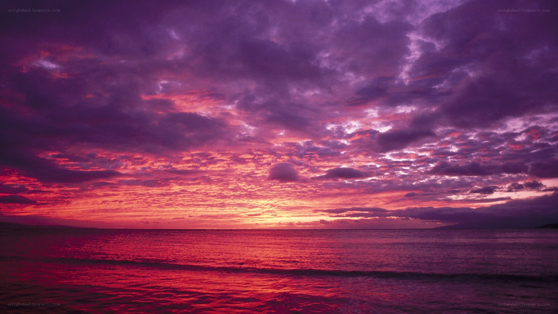 vibrant purple sunset over ocean