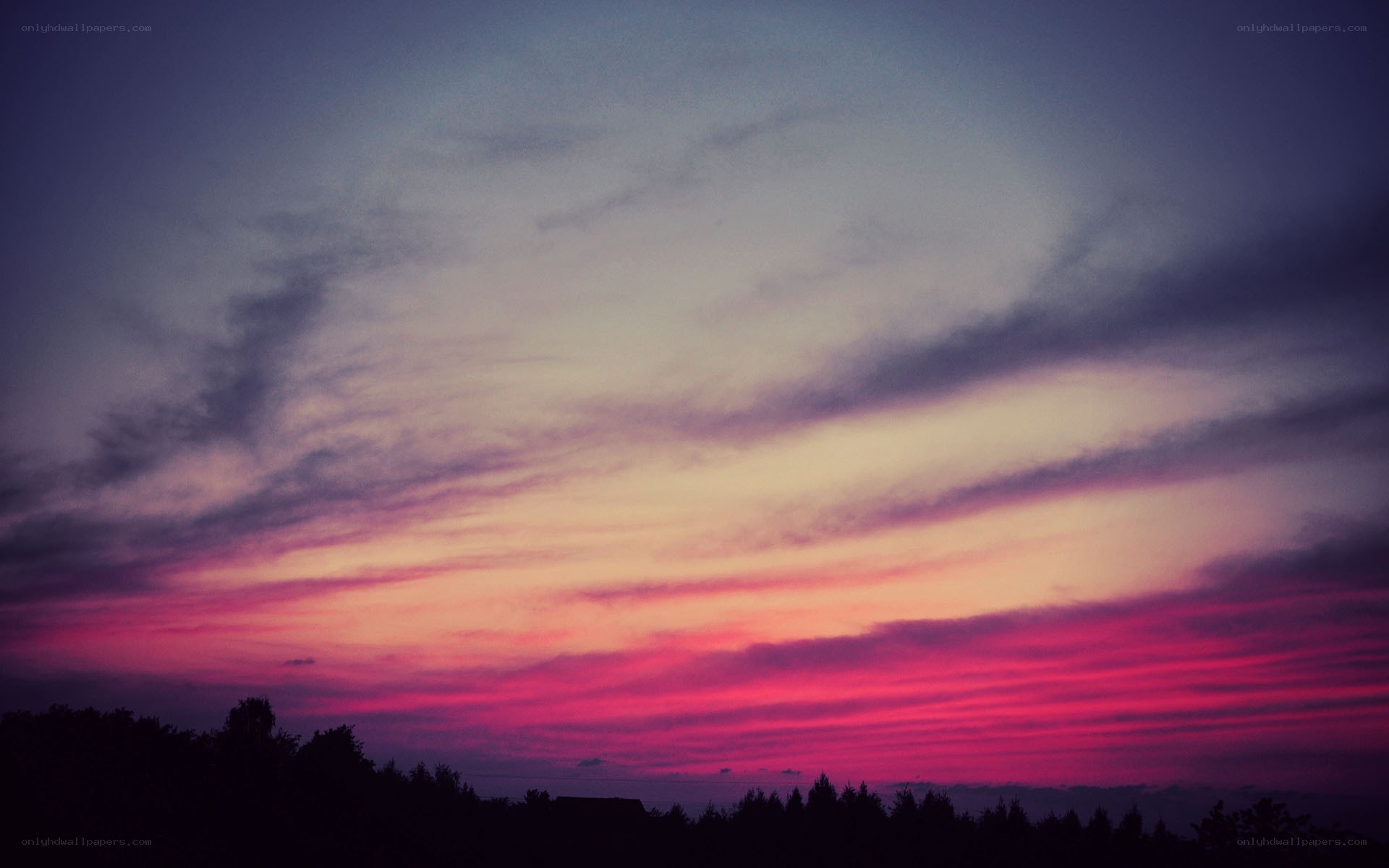vibrant purple sunset sky