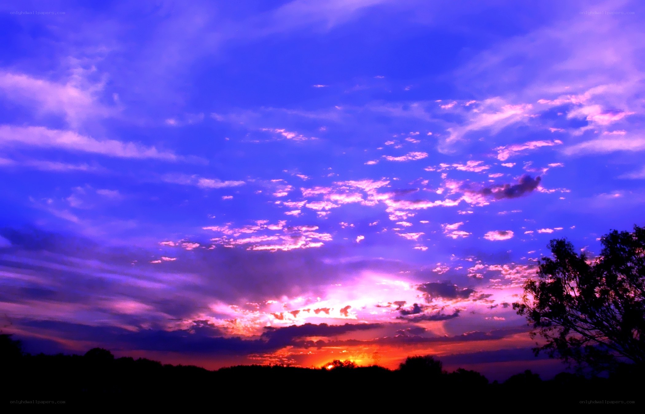 vibrant purple sunset sky