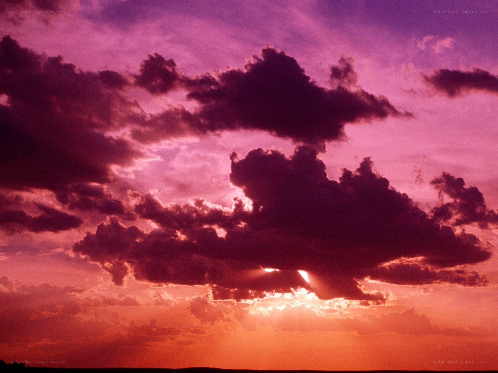 vibrant purple sunset sky