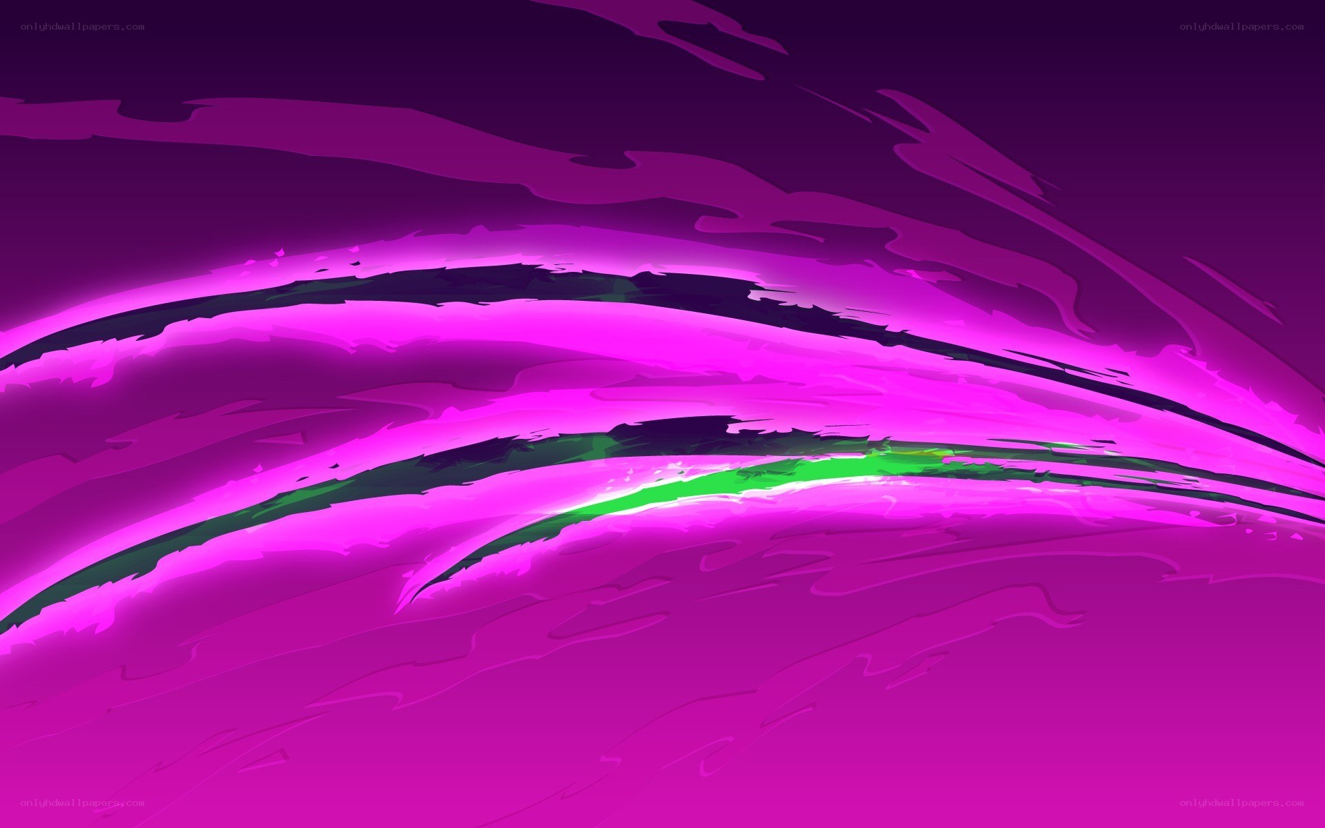 vibrant purple wave animation
