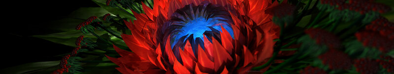 vibrant red flower with blue center
