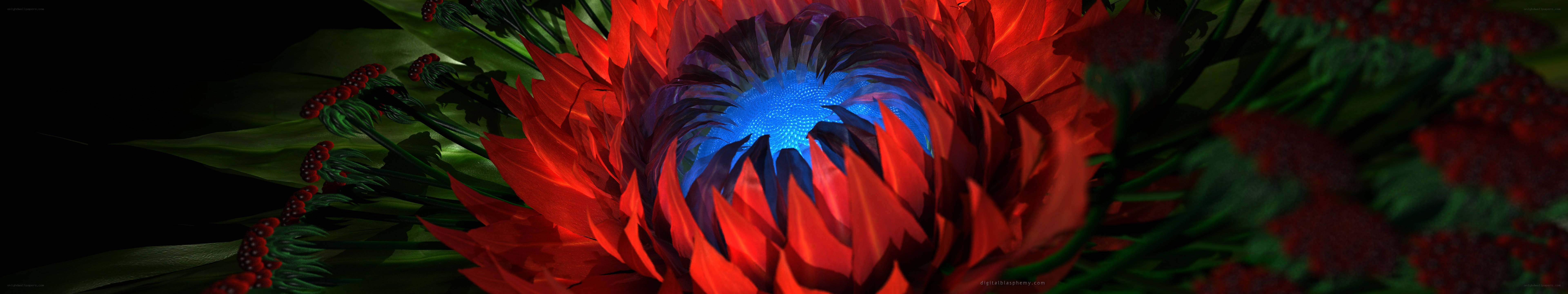vibrant red flower with blue center