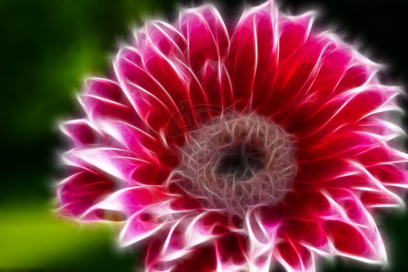 vibrant red flower with glowing effect