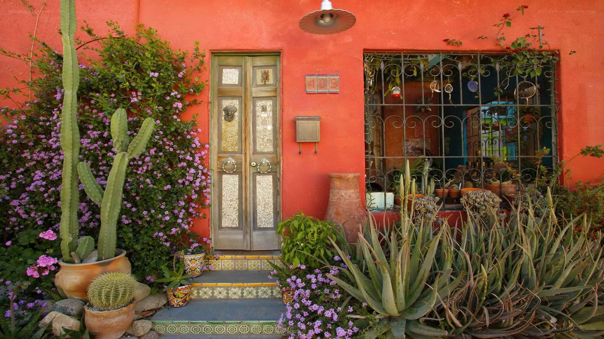 vibrant red house with cacti