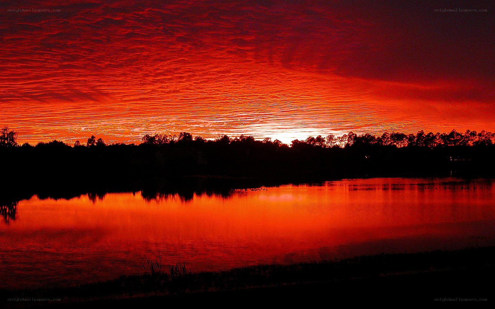 Vibrant red sunset over lake