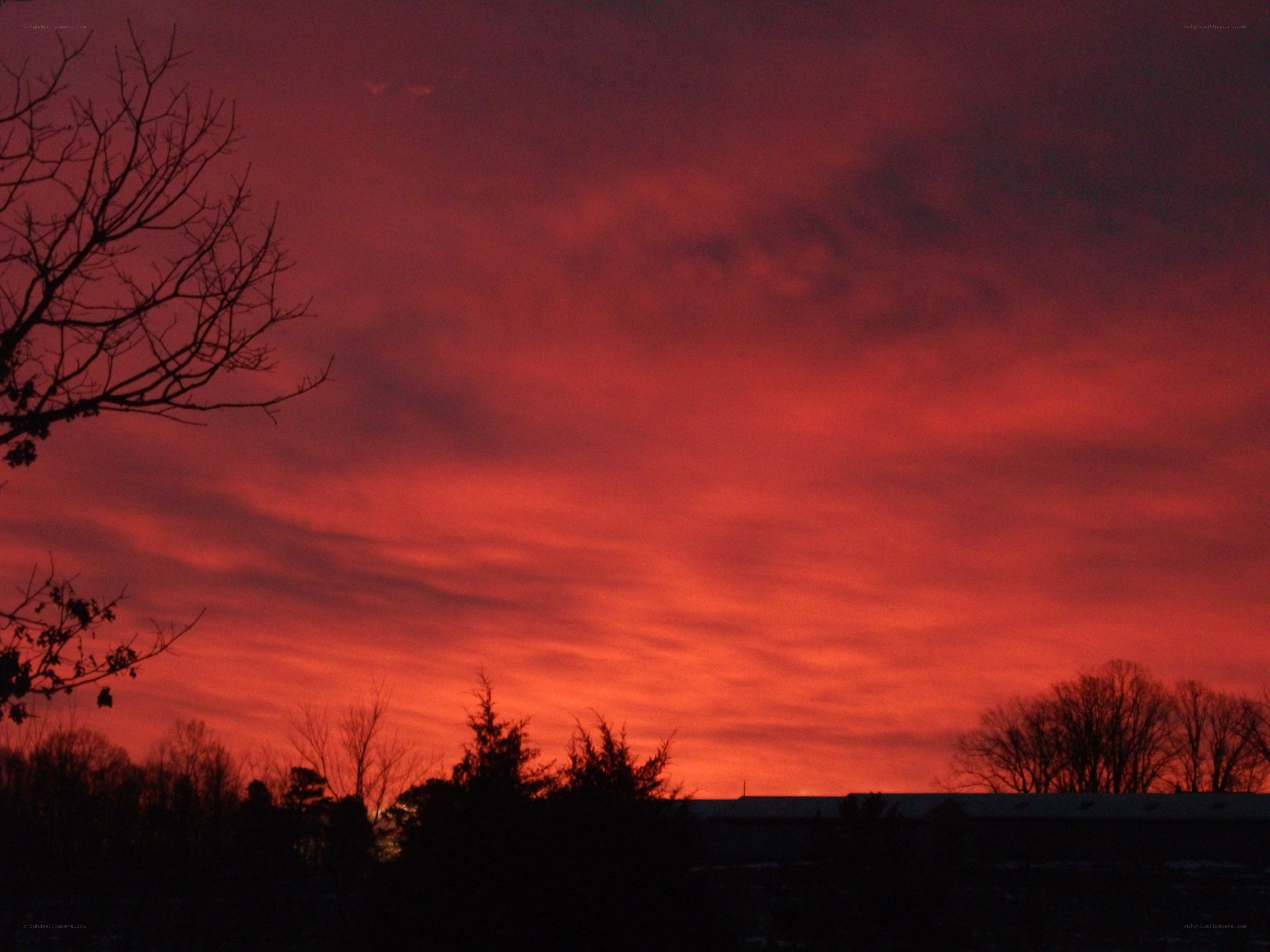 vibrant red sunset sky