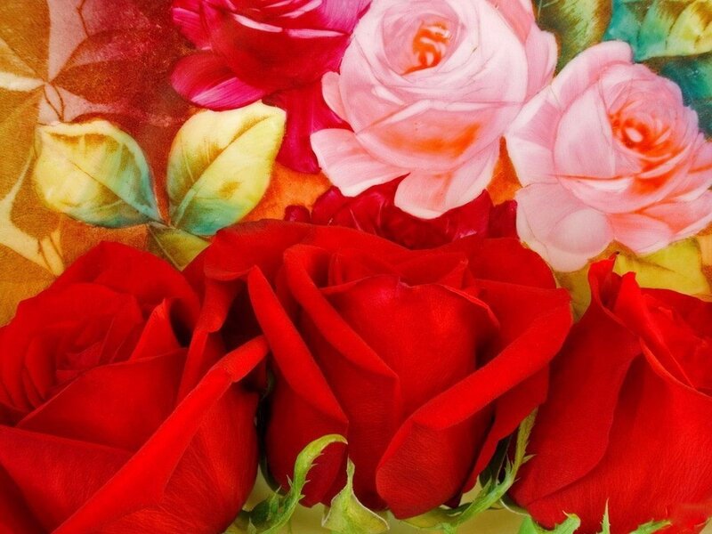 vibrant rose bouquet