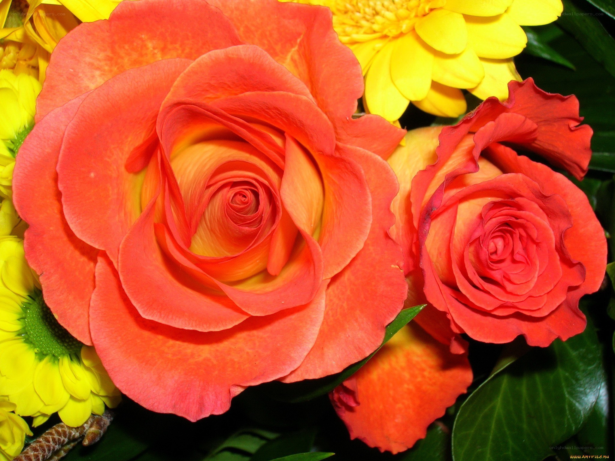 vibrant rose bouquet
