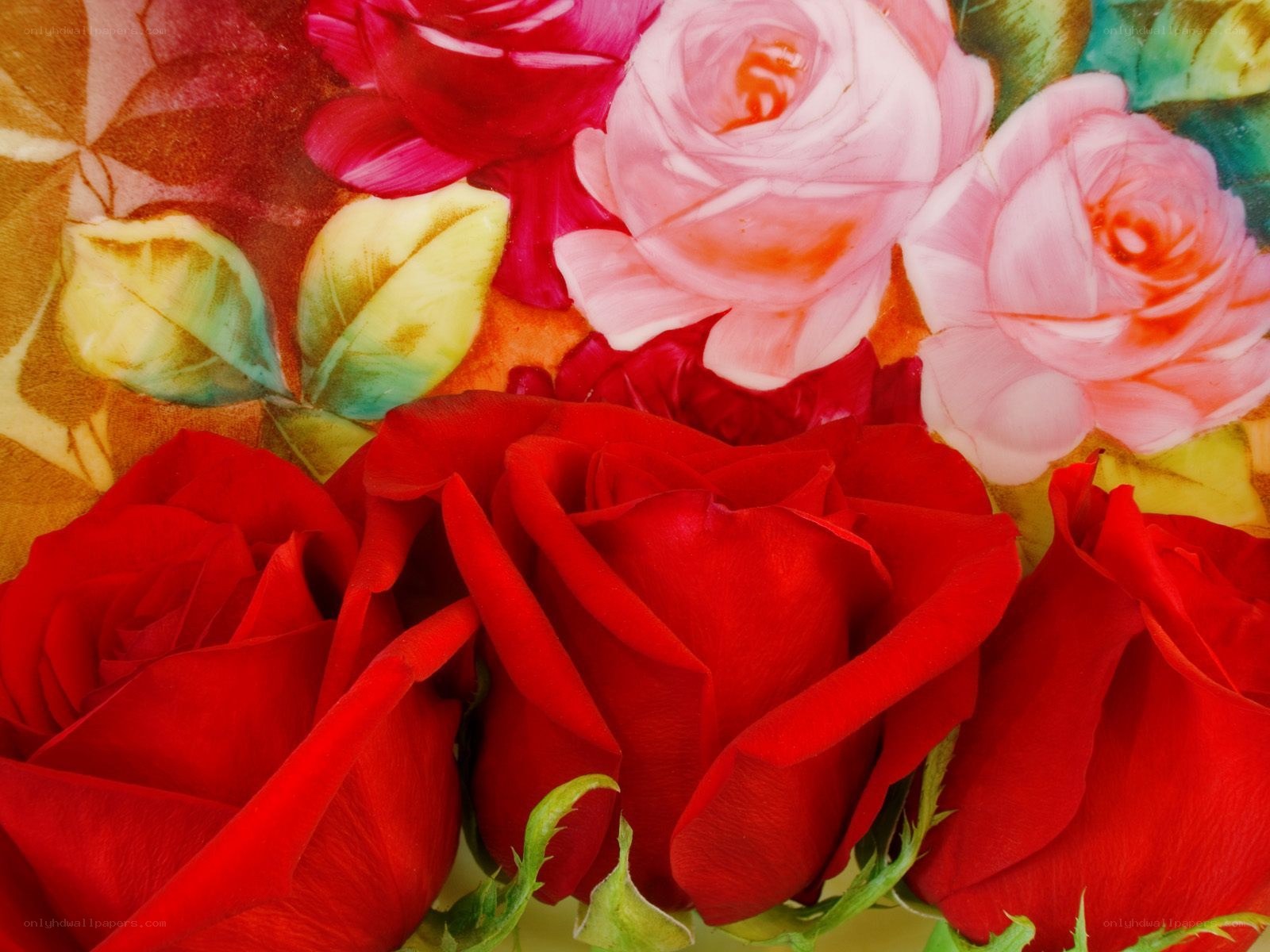 vibrant rose bouquet