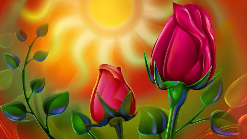 vibrant rose buds in sunlight