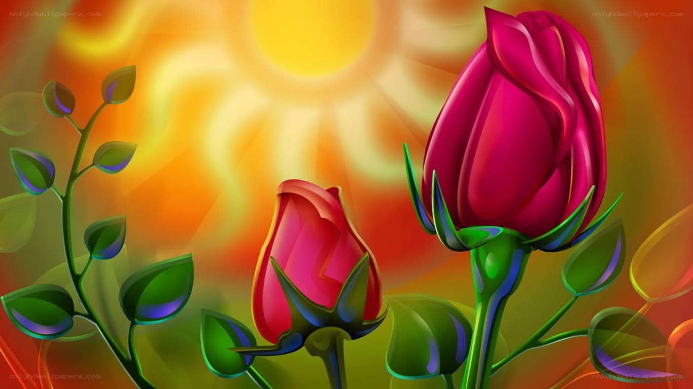 vibrant rose buds in sunlight