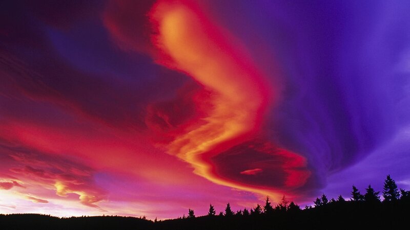 Vibrant Sky over Trees