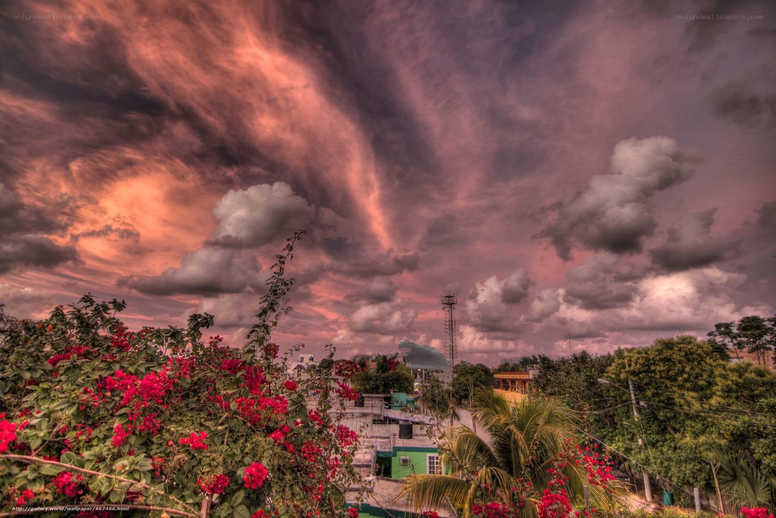 Vibrant sky over tropical town