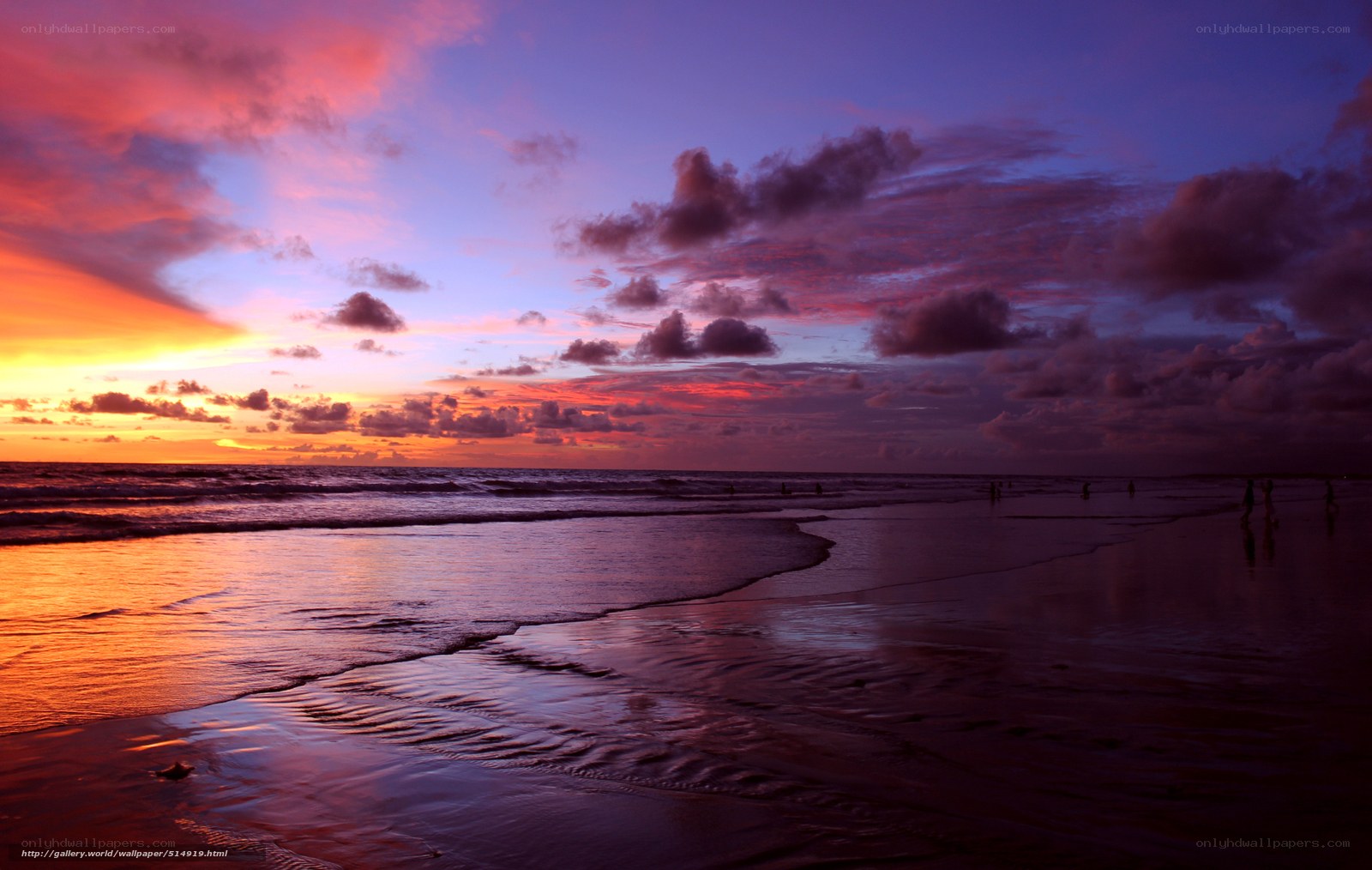 vibrant sunset at the beach