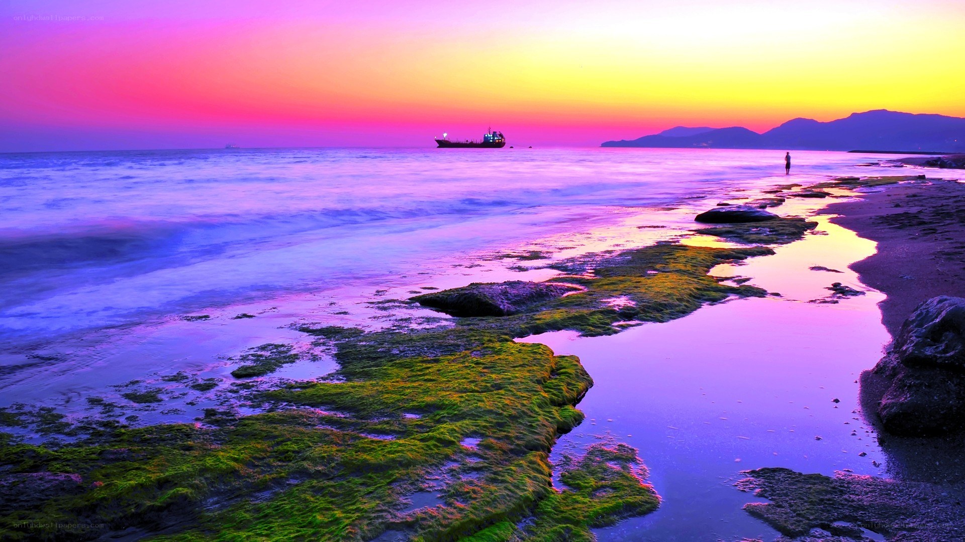 Vibrant sunset at the beach