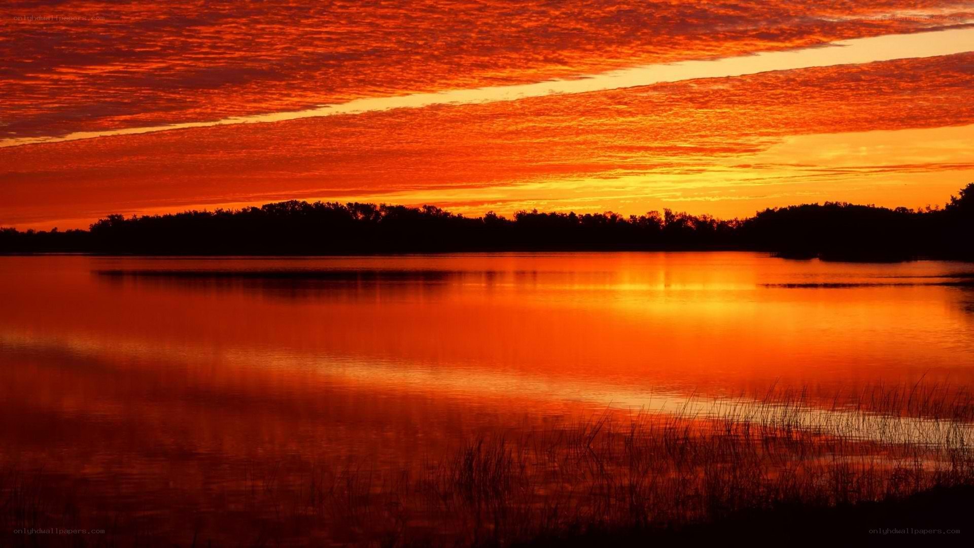 Vibrant sunset over a calm lake