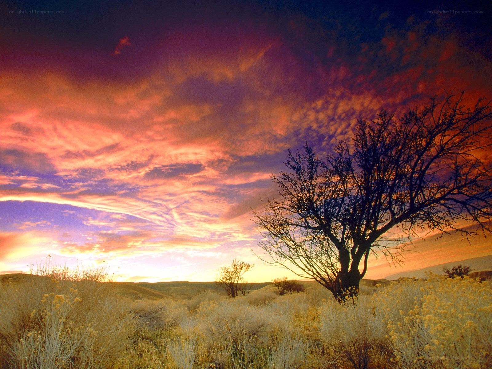 Vibrant sunset over a desert landscape