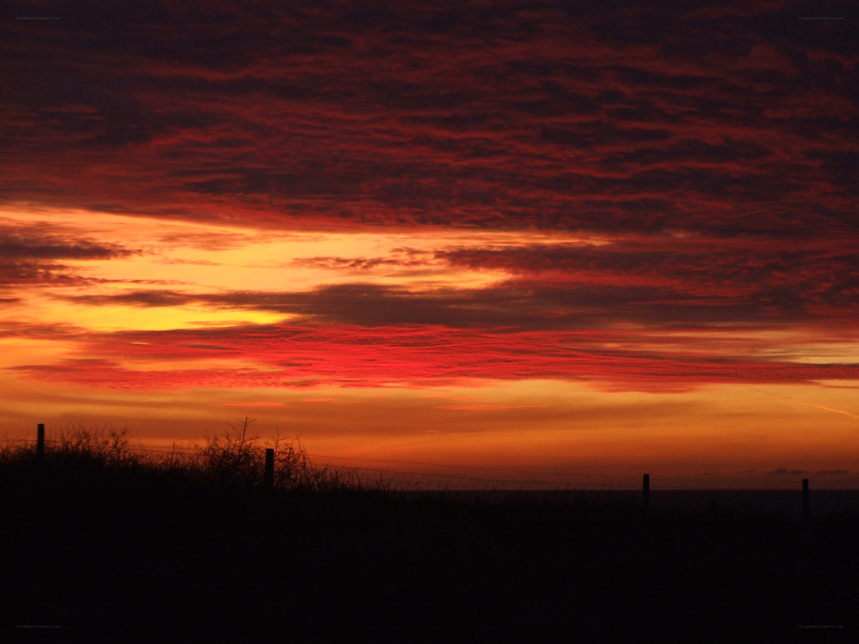 Vibrant sunset over a fence