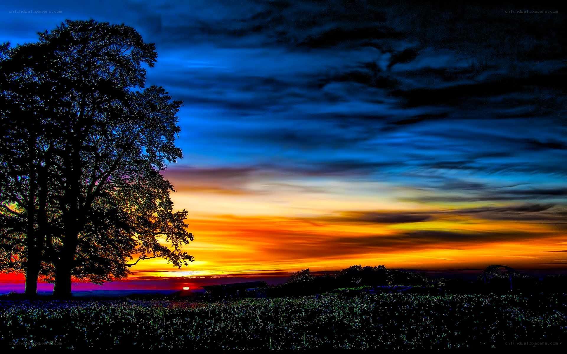 Vibrant sunset over a field