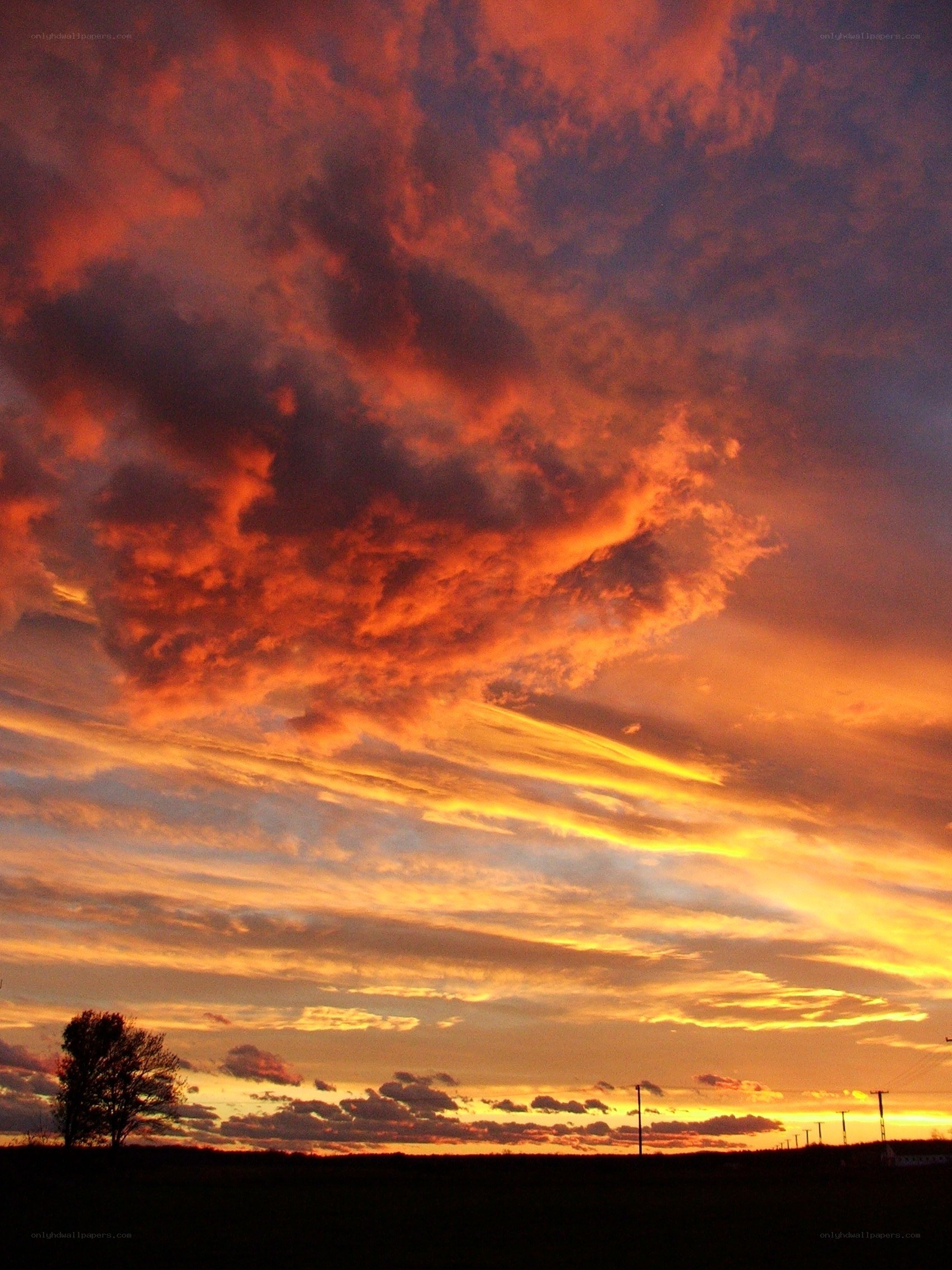 Vibrant sunset over a field