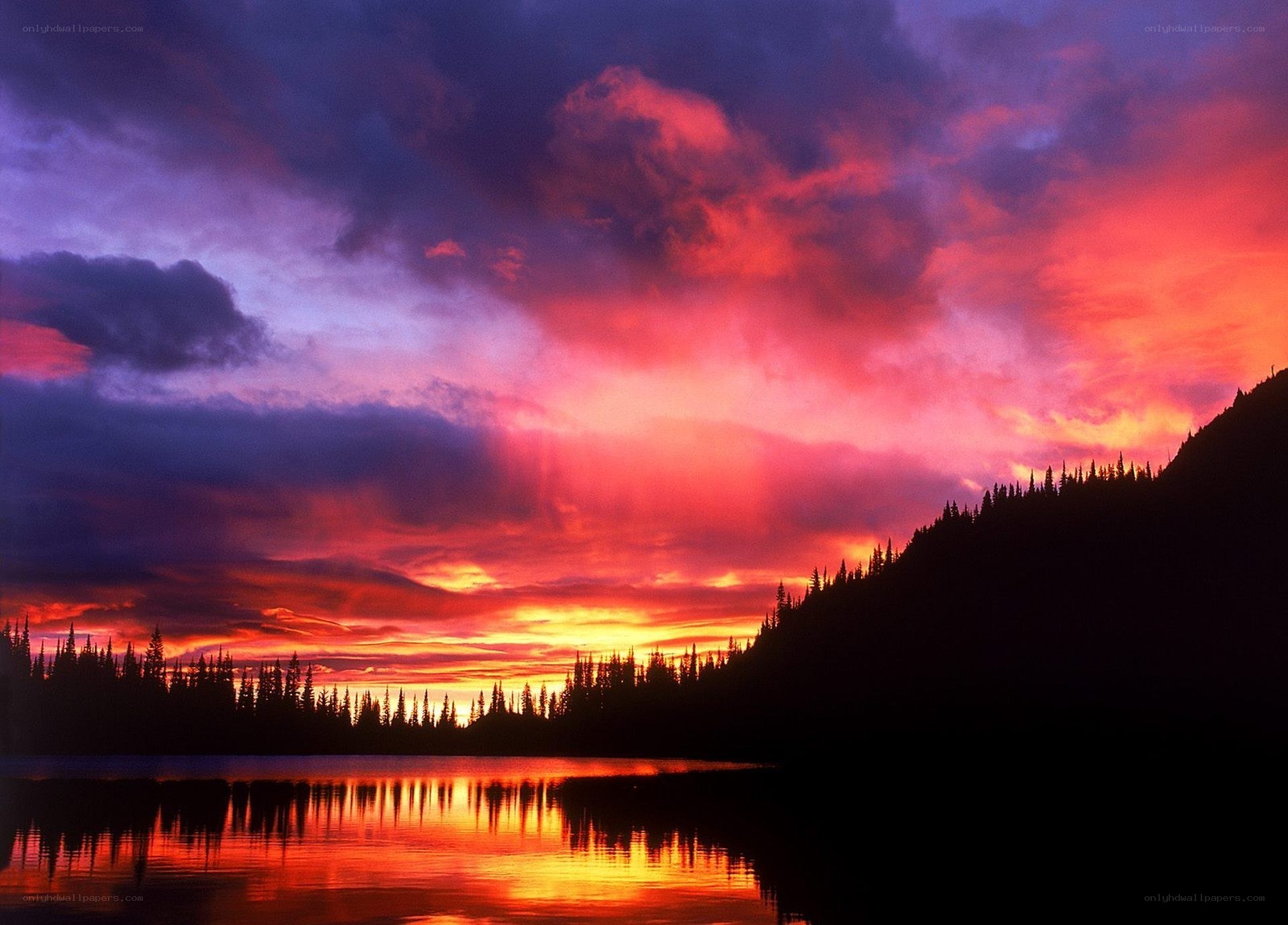 Vibrant sunset over a forest lake