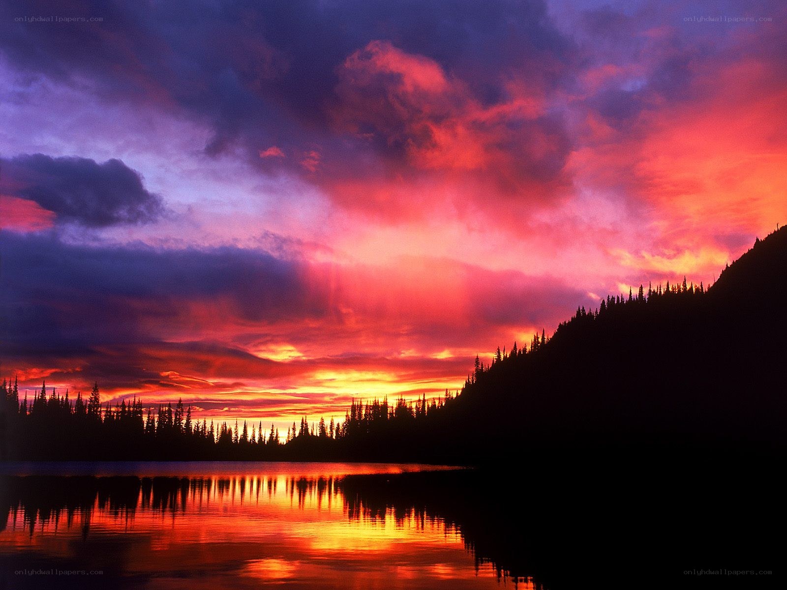 Vibrant sunset over a forest lake