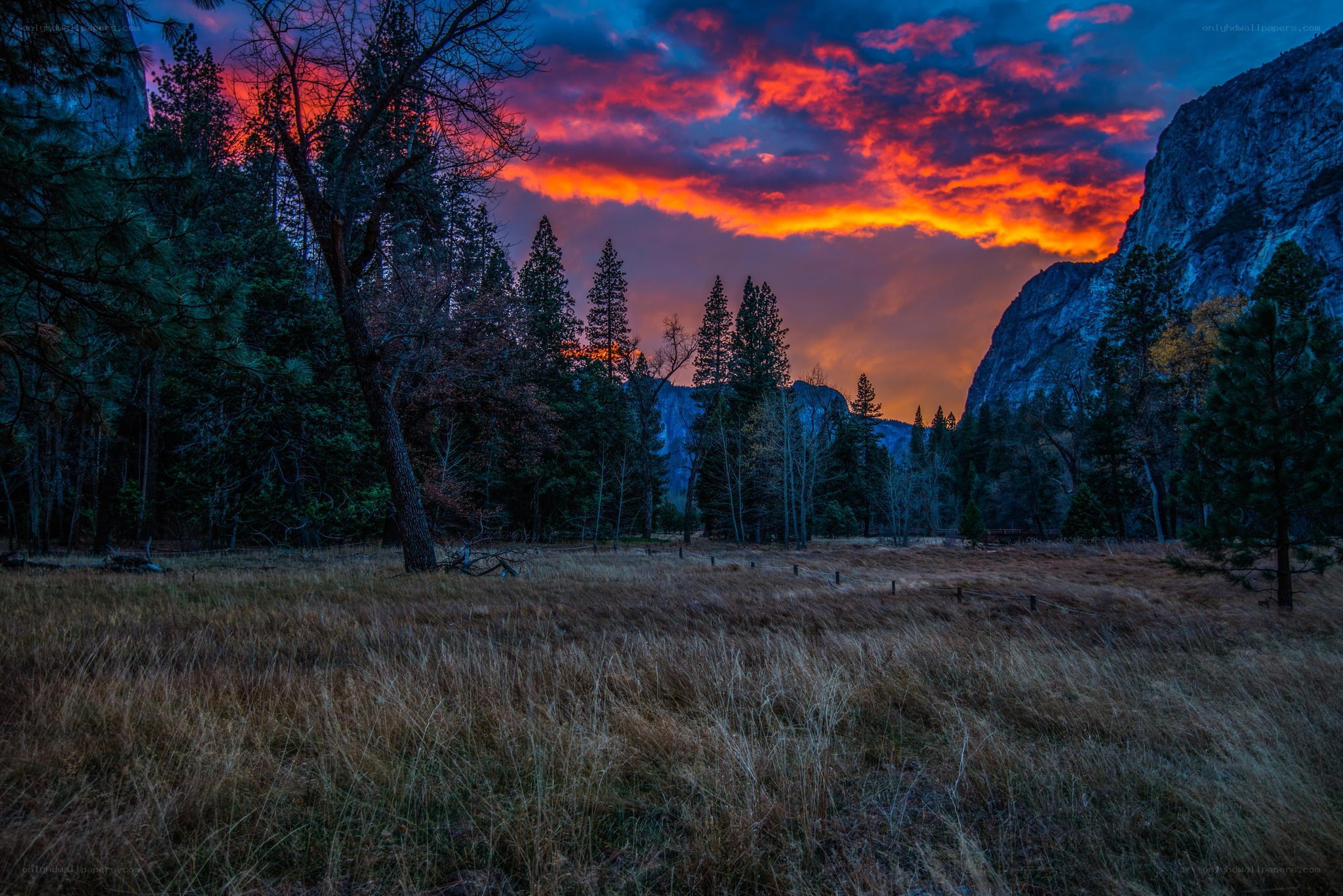Vibrant sunset over a forest valley