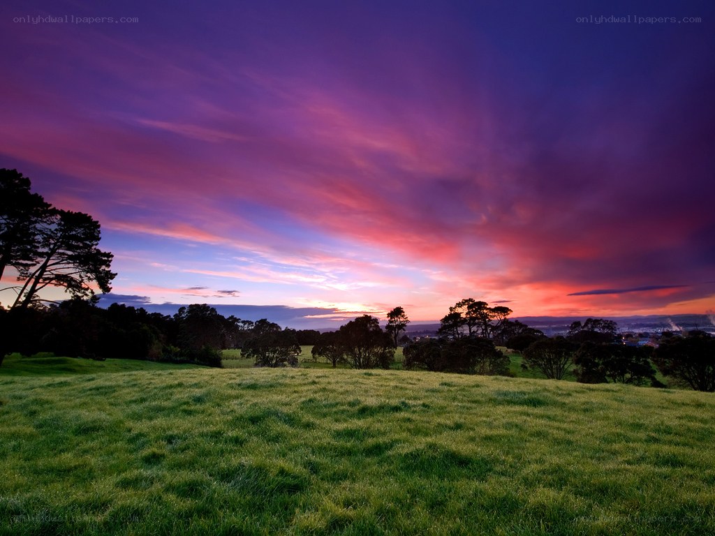 Vibrant sunset over a grassy field