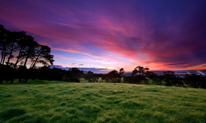 vibrant sunset over a grassy field
