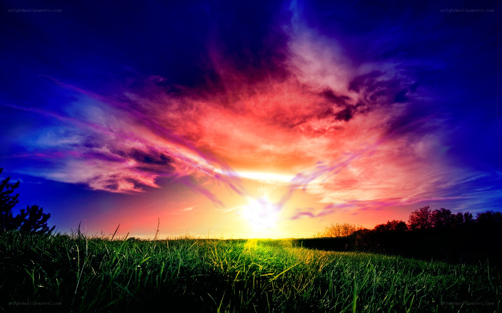 Vibrant sunset over a grassy field