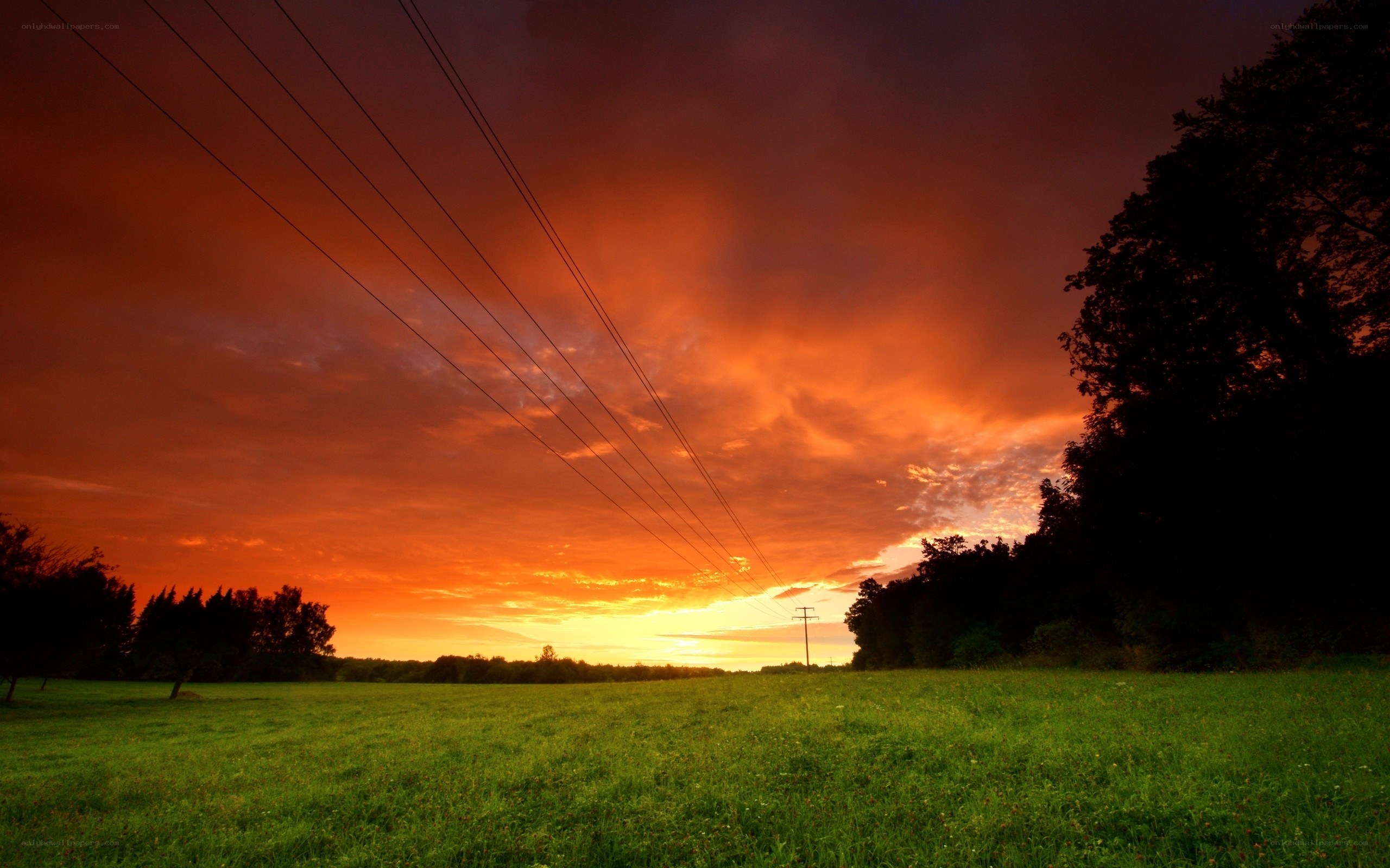Vibrant sunset over a green field