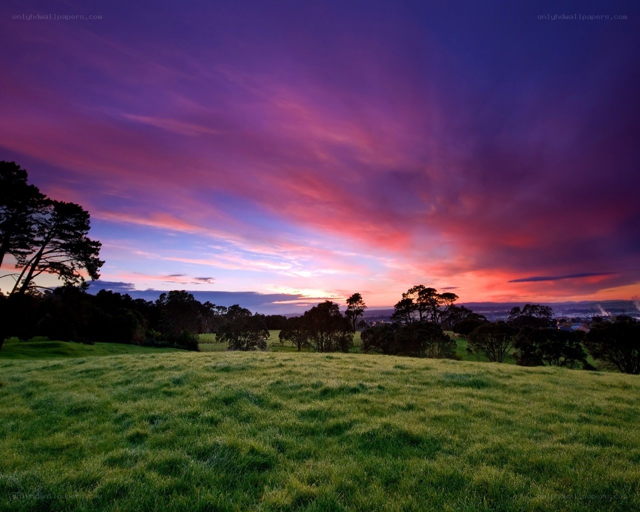 Vibrant sunset over a green field