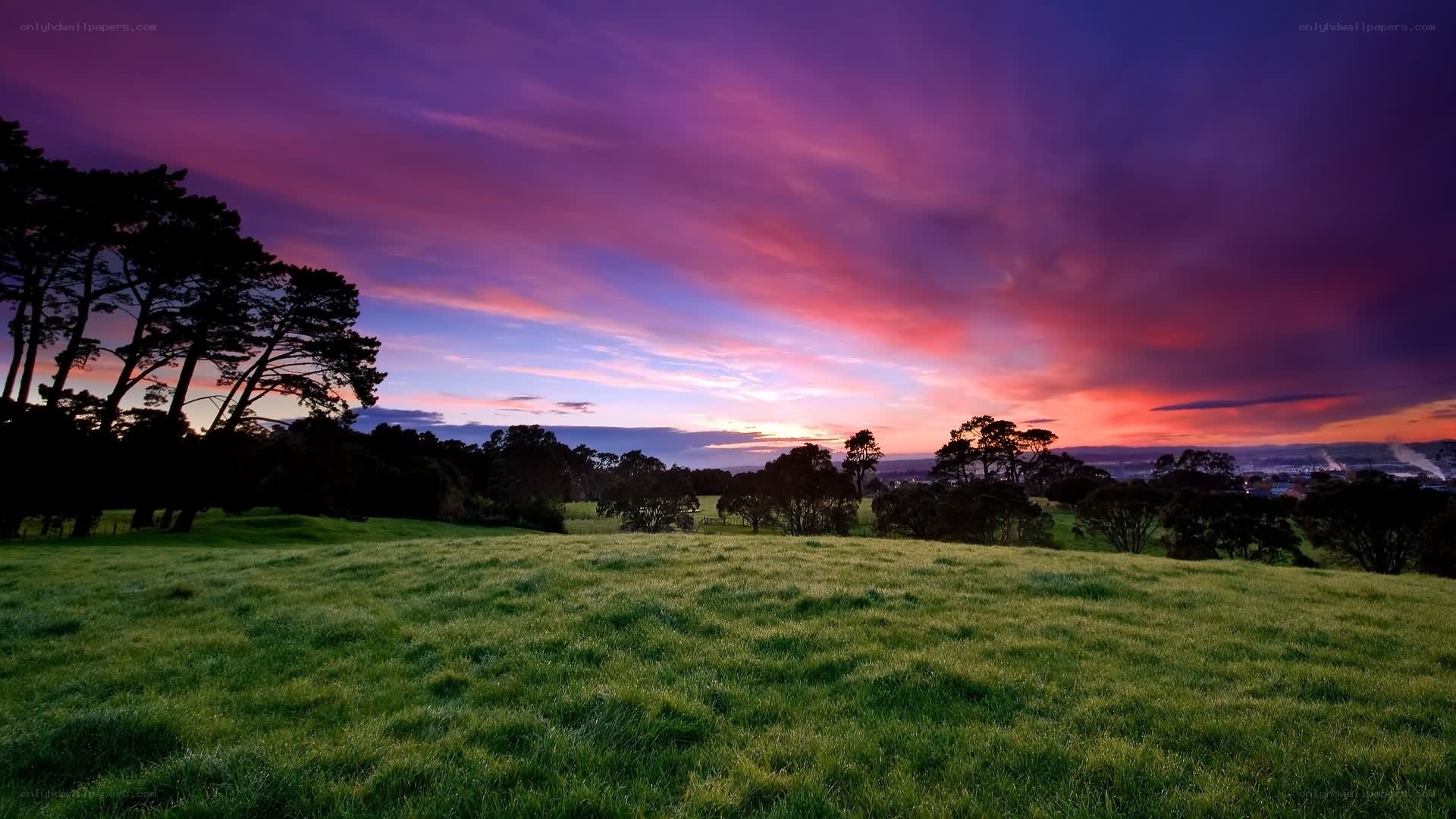 Vibrant sunset over a green field